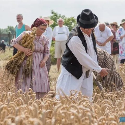 „Žetelački dan“ u Mužlji 4. jula