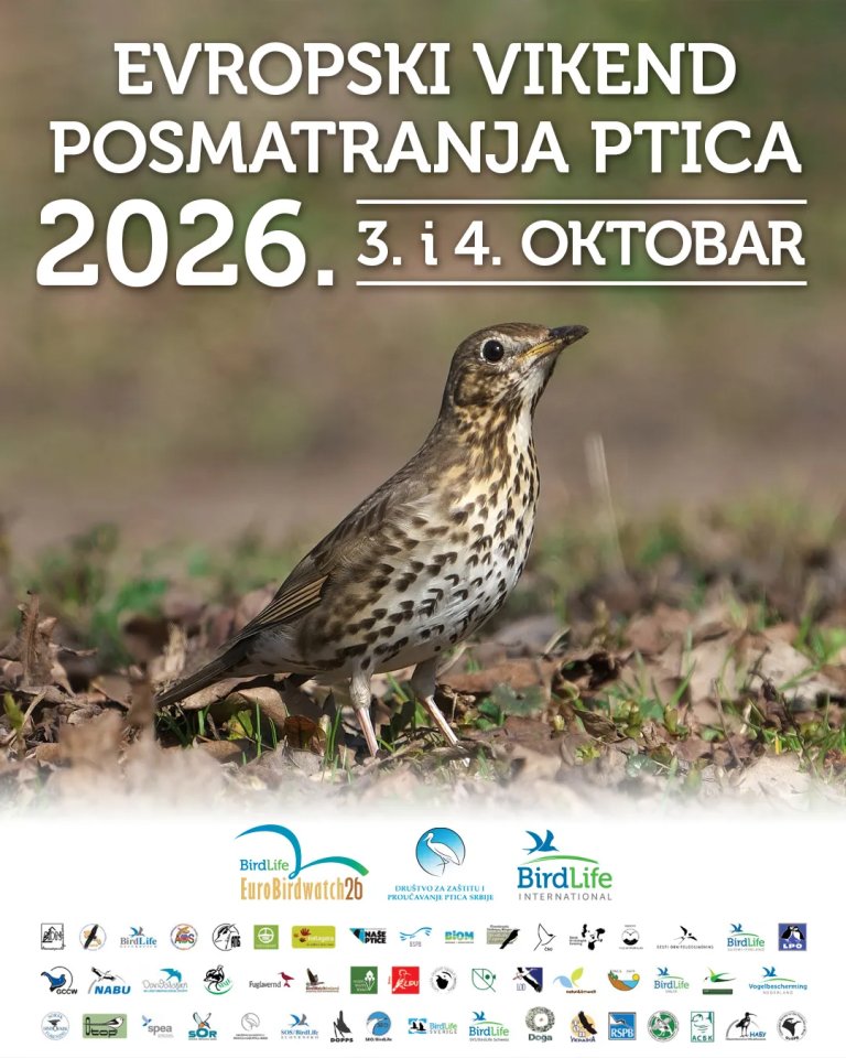 Fotografija: Evropski vikend posmatranja ptica 3. i 4. oktobra, izlet i u Tarašu