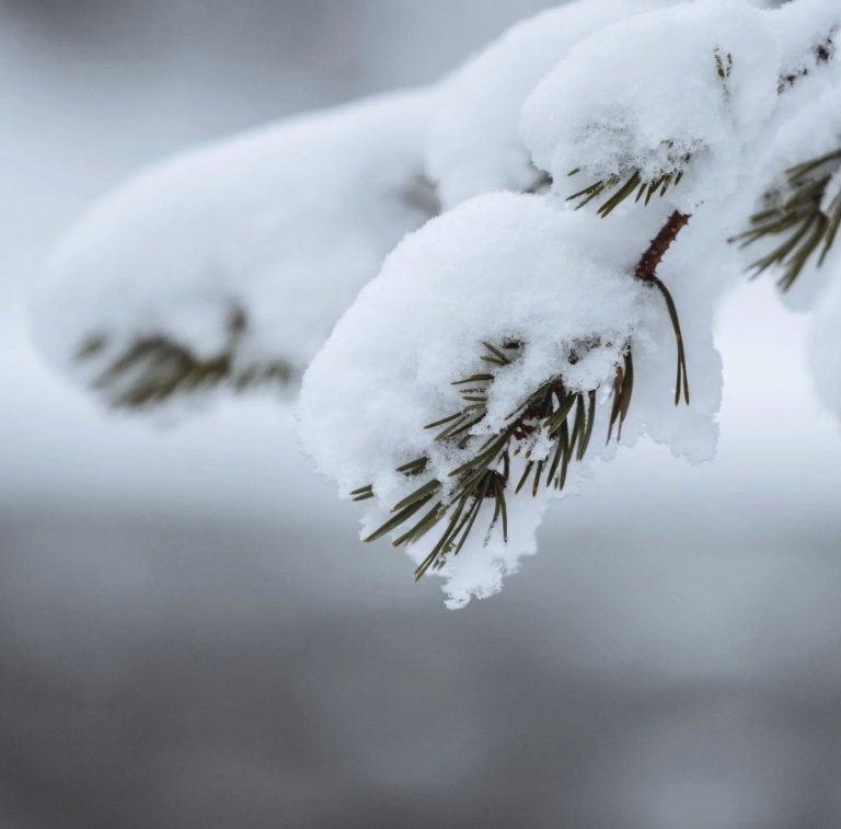 Fotografija: Talas hladnoće u Srbiji do 17. januara