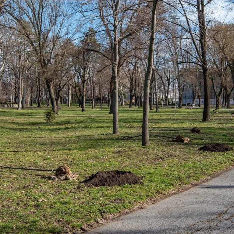 karađorđev park