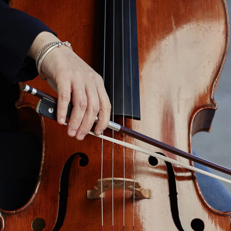 gudački koncert veče sonata