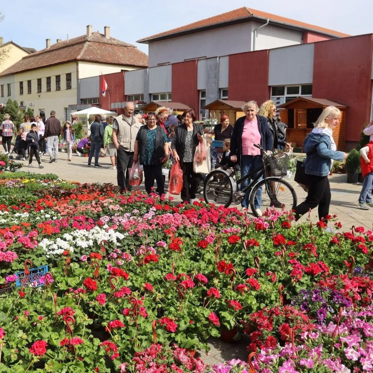 prolećni festival cveća u žitištu